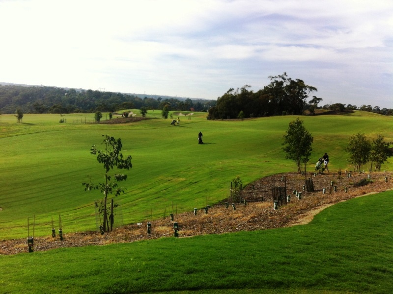 The new course photo 3